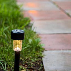 Solar Powered Lawn Lights