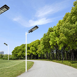 Solar Power Yard Lights