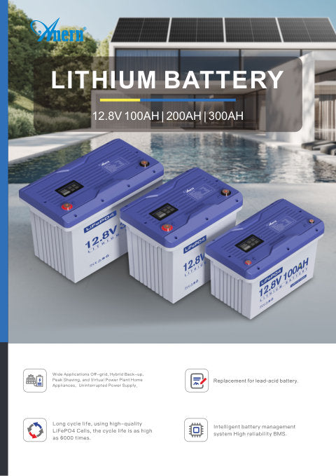 12V LiFePO4 Batteries document cover