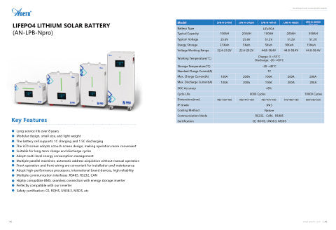 Npro Series Batteries document cover