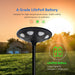 50w Solar Park Light with A Grade LifePo4 Battery